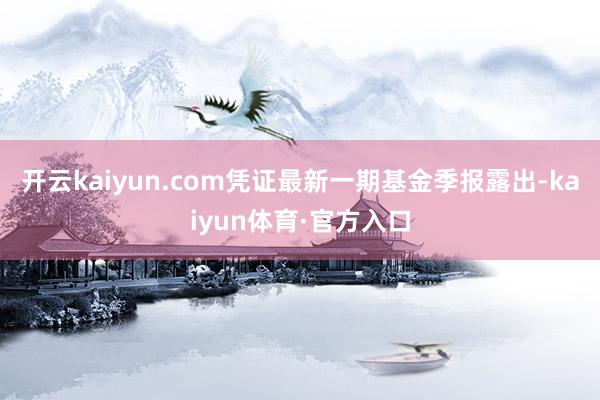 开云kaiyun.com凭证最新一期基金季报露出-kaiyun体育·官方入口