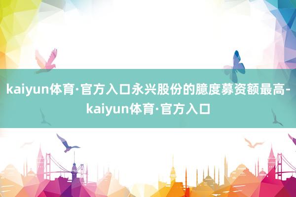 kaiyun体育·官方入口永兴股份的臆度募资额最高-kaiyun体育·官方入口