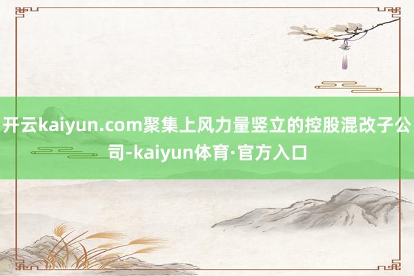 开云kaiyun.com聚集上风力量竖立的控股混改子公司-kaiyun体育·官方入口